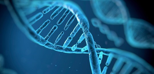 Case Study - Schwozny