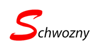 Schwozny Analytics - Logo